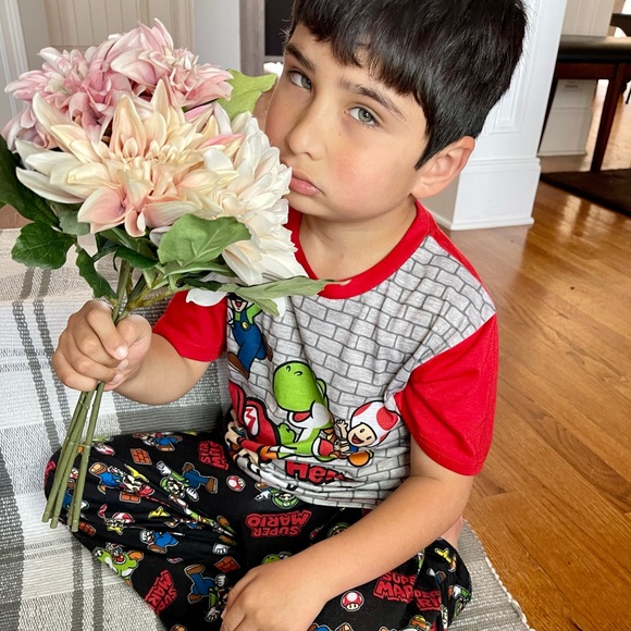 Meet your Posher, Daisy - Picture 2 of 5